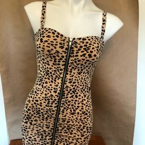 Reveal Your Wild Side 🦁🐯🐻